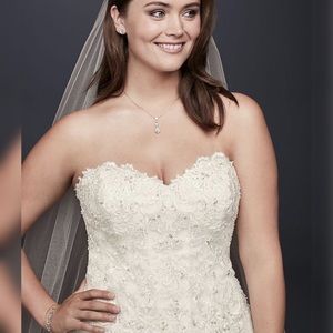 Ball Gown Wedding Dress